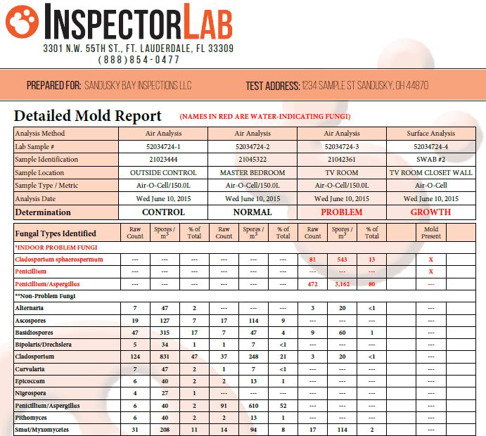 Sample Mold Report