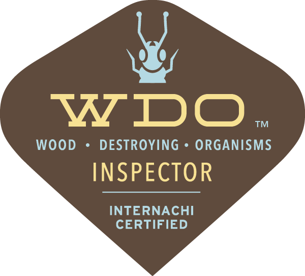 Wood Destroying Insect Inspection